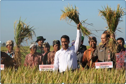 Mentan Apresiasi Pemkab Tabanan Mampu Swasembada Pangan
